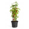38385 4 obal green basics tomato pot 33 cm cerna