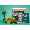 Vánoční dárková sada Kokedama %22Vyrob si sám%22 Ficus Microcarpa Ginseng (S)