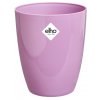 50007 obal brussels diamond orchid high 12 5 cm fialova