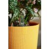 50022 5 obal jazz round 23 cm zluta