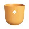 50022 8 obal jazz round 23 cm zluta