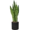 56341 sansevieria zeylanica v obalu rough hydroponie prumer 25 cm