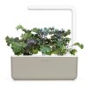 64683 1 kapsle smart garden se seminky a substratem kaderavek 3ks