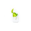 Epipremnum Global Green řízek k zakořenění