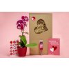 Valentýnská sada Phalaenopsis s květináčem a výživou