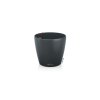 812 8 classico color eco