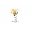 9356 2 tillandsia v kovovem stojanku