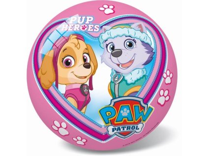 Míč Paw Patrol 23cm