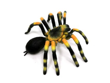 A - Figurka Pavouk Sklípkan smithův 11 cm