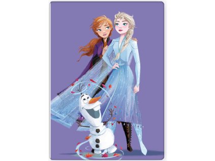 BRM014183 Dětská deka FROZEN polar fleece 100x140cm fialová