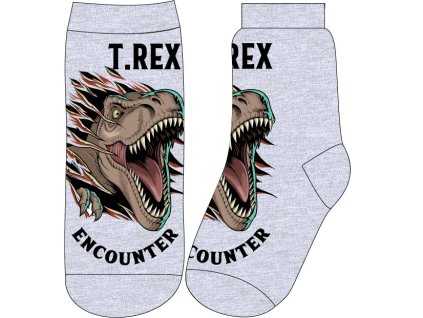 Chlapecké ponožky JURSKÝ SVĚT T-Rex single šedé67496 1 kopie