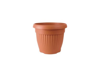 146838 kvet terra nova dce20 200mm
