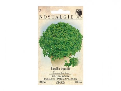149805 bazalka trpaslici