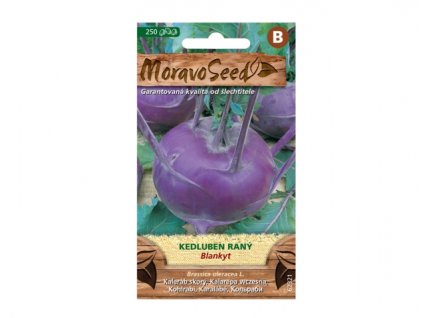 152328 kedluben rany blankyt modry 62321