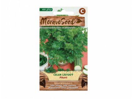 Celer listový PIKANT dostup