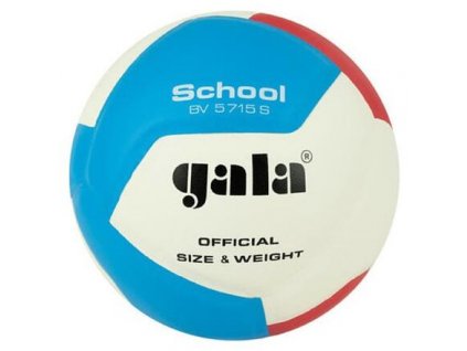 BV5715S School 12 volejbalový míč velikost míče č. 5
