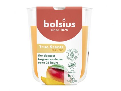 355984 svicka ve skle true scents mango vonna 125g d7x8cm