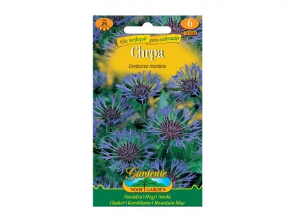 236337 1 chrpa horska modro fialova