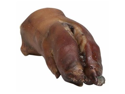 237621 veprova nozka 1 ks cca 18 cm