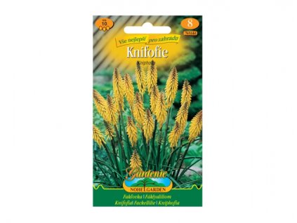 257760 knifofie zluta