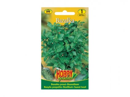 260640 bazalka zelena
