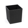 Obal na květník JUKA RATTAN plastový 30x30x31cm (Barva Černá)