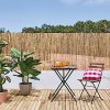 canizo bambu fino 75 2x3m