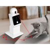 221706 4 zw6a smart laser automatyczny dla kota