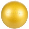 214716 2 gymnic overball prumer 23 cm