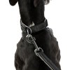 361796 7 kozeny obojek active comfort pro chrty cerna seda