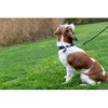 361796 11 kozeny obojek active comfort pro chrty cerna seda