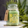 369476 1 arome svicka 560 g ve skle bergamote