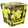 370181 2 arome svicka 120 g ve skle green apple