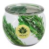 370217 1 arome svicka 90 g ve skle a flower boxu rosemary