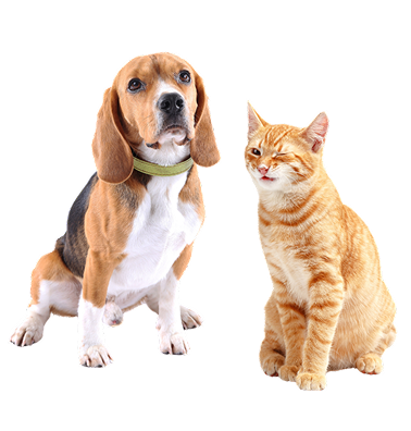 Chovateľské potreby