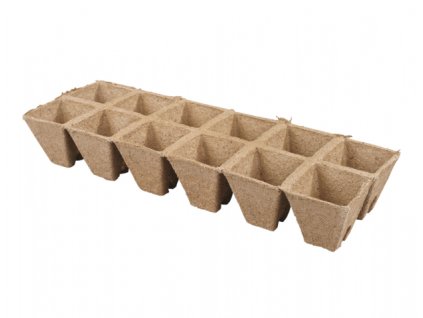 233943 1 kvetnik raselinovy se zarezem bez eanu 6x6cm 12ks