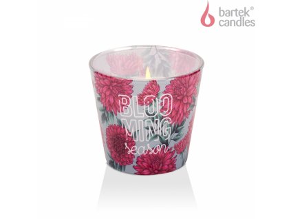 152721 3 bartek svicka kvet jiriny 115g