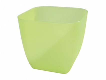 258174 1 obal na kvetnik catlea square plastovy 24x24x21cm