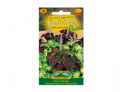 236406 koprivenka zkrizena rococo