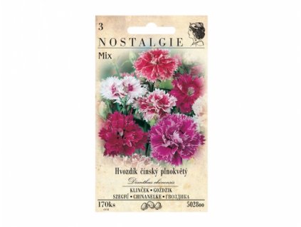 257100 1 hvozdik cinsky plnokvety smes