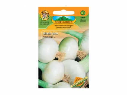 149985 cibule jarni bila