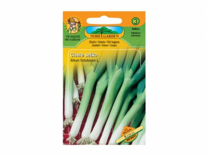 150075 cibule zimni secka bajkal