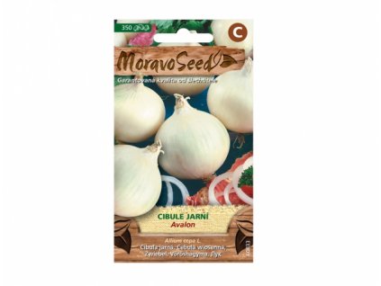 149982 cibule jarni avalon bila 60833