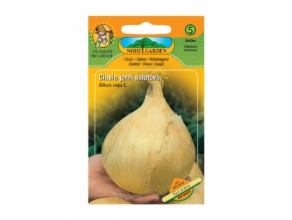 150015 cibule jarni salatova globo