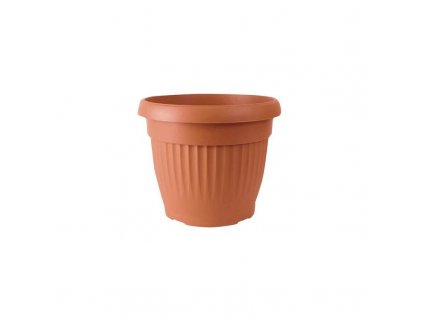 146838 kvet terra nova dce20 200mm