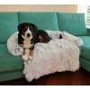 264237 10 petsofa pelisek pro psa svetle seda rozmer m