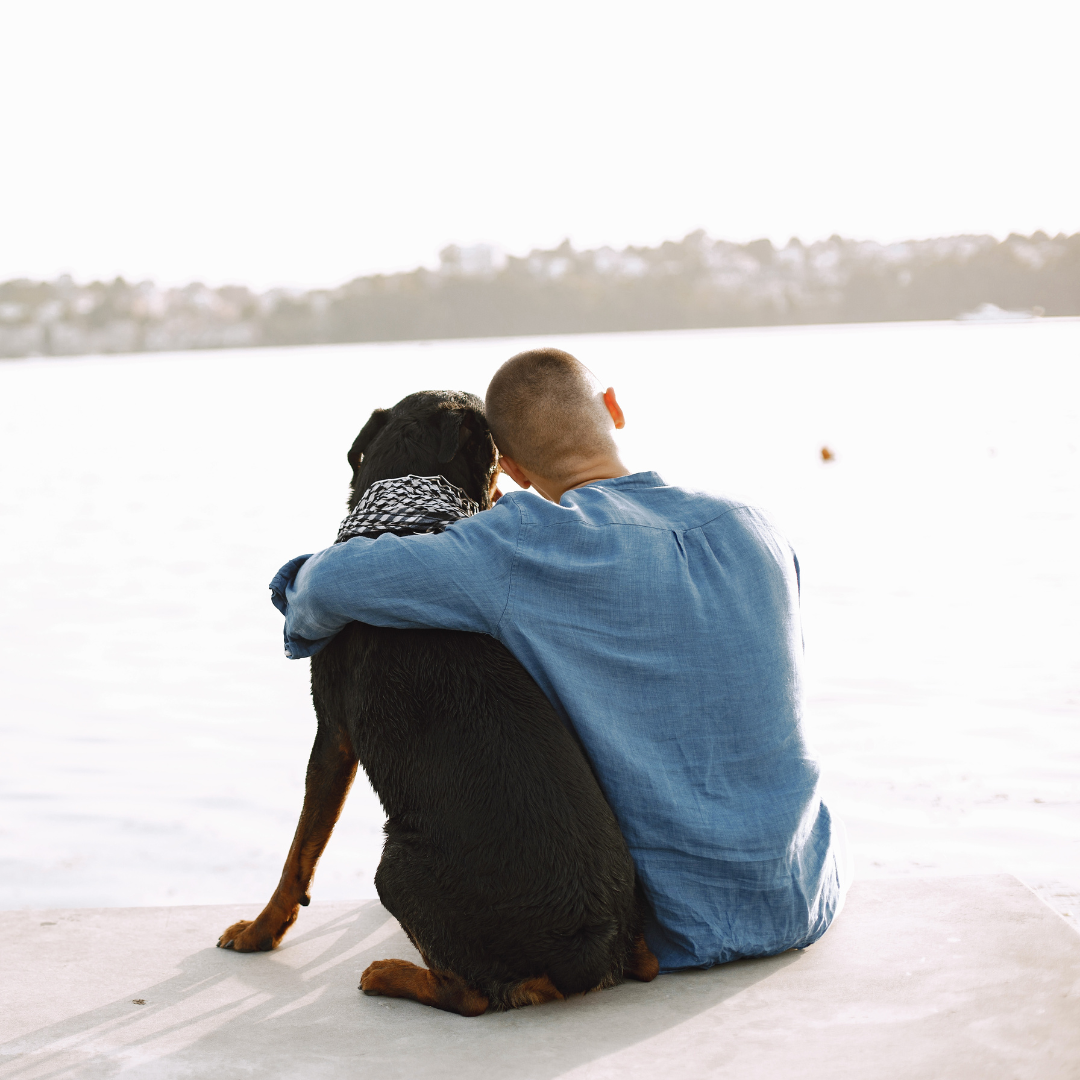 20 tipů, které pomůžou člověku lépe komunikovat se svými psy