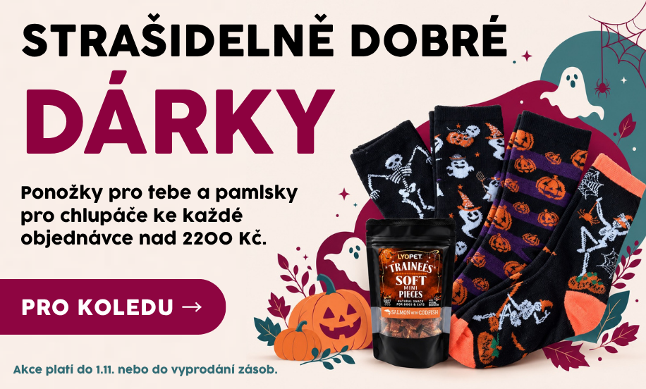 halloween WEB