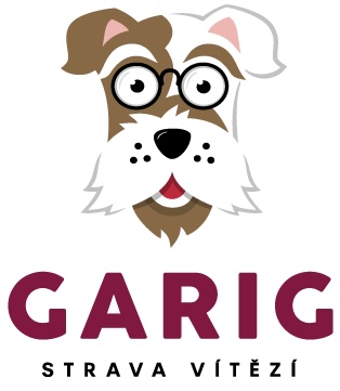 logo_GARIG_Q_RGB_violet_on-transparent-background