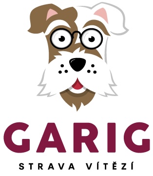 logo_GARIG_Q_RGB_violet_on-transparent-background